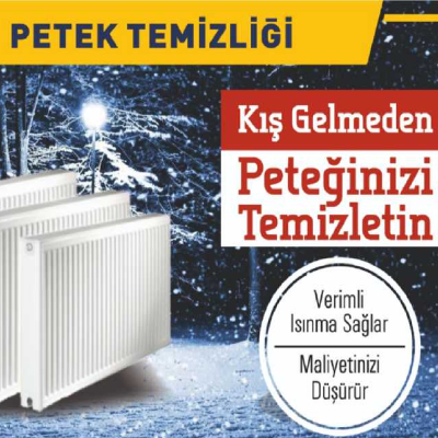 Petek Temizliği